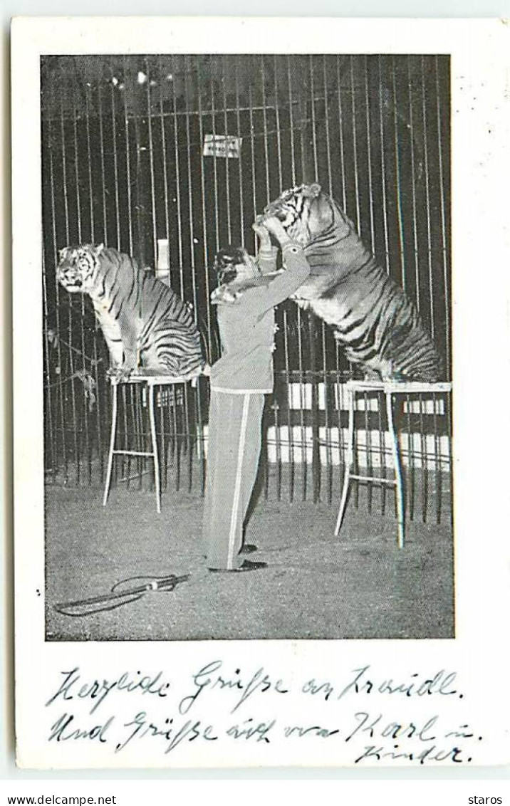 Spectacle - Cirque - Un Dresseur Avec Des Tigres - Circus Willy Hagenbeck - Circus