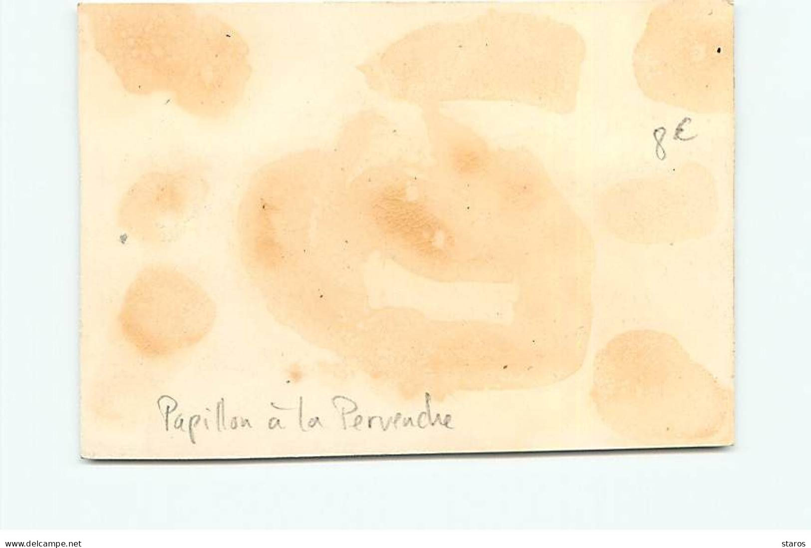Chromos - Papillon à La Pervenche - Format 8*11,6 Cm - Sonstige & Ohne Zuordnung