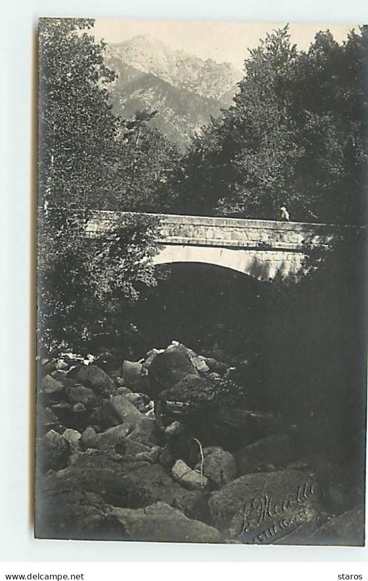Carte Photo - VIVARIO - VIZZAVONA - Pont Du Folminato - Photo Moretti - Other & Unclassified