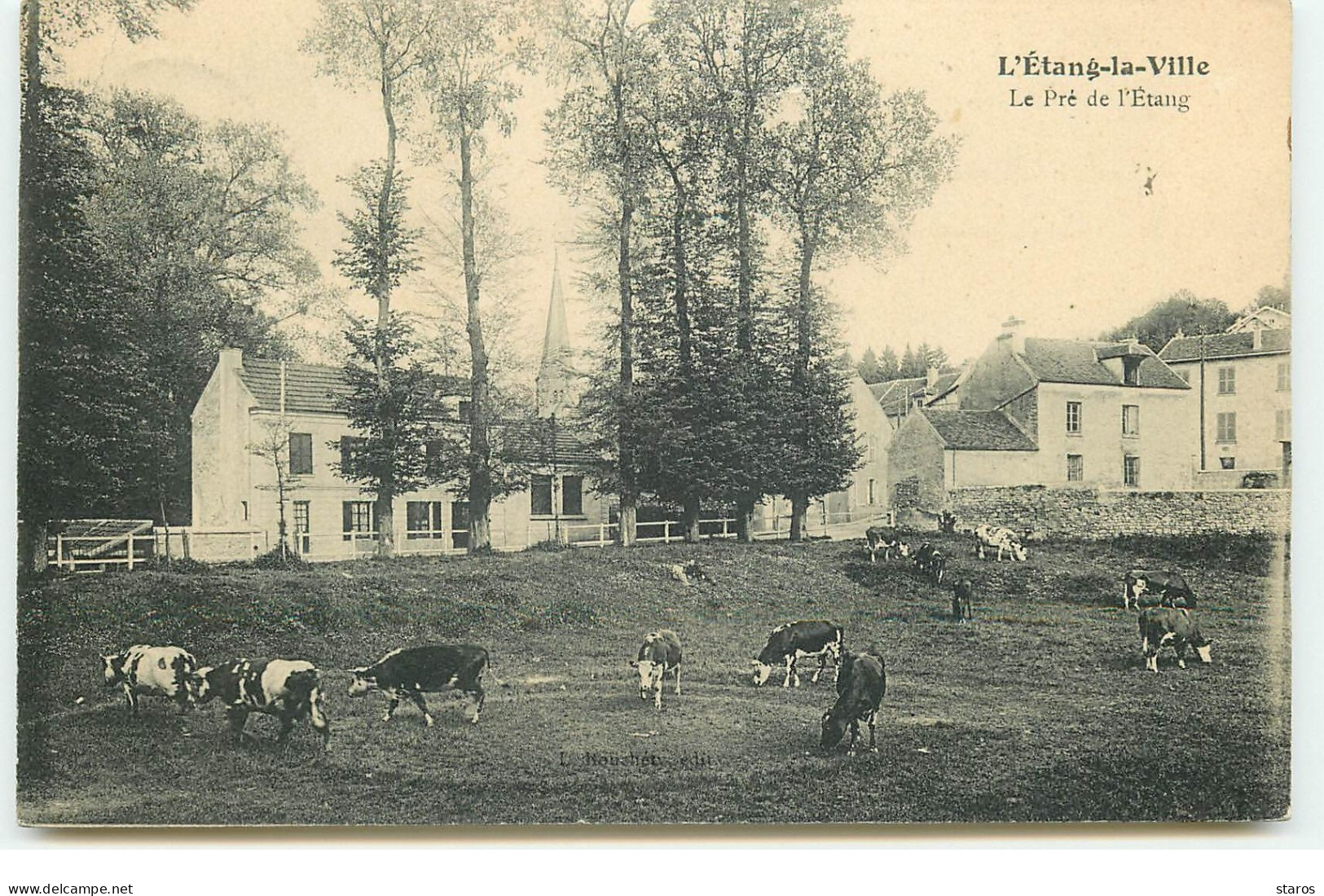 ETANG-LA-VILLE - Le Pré De L'Etang - Vaches - Sonstige & Ohne Zuordnung