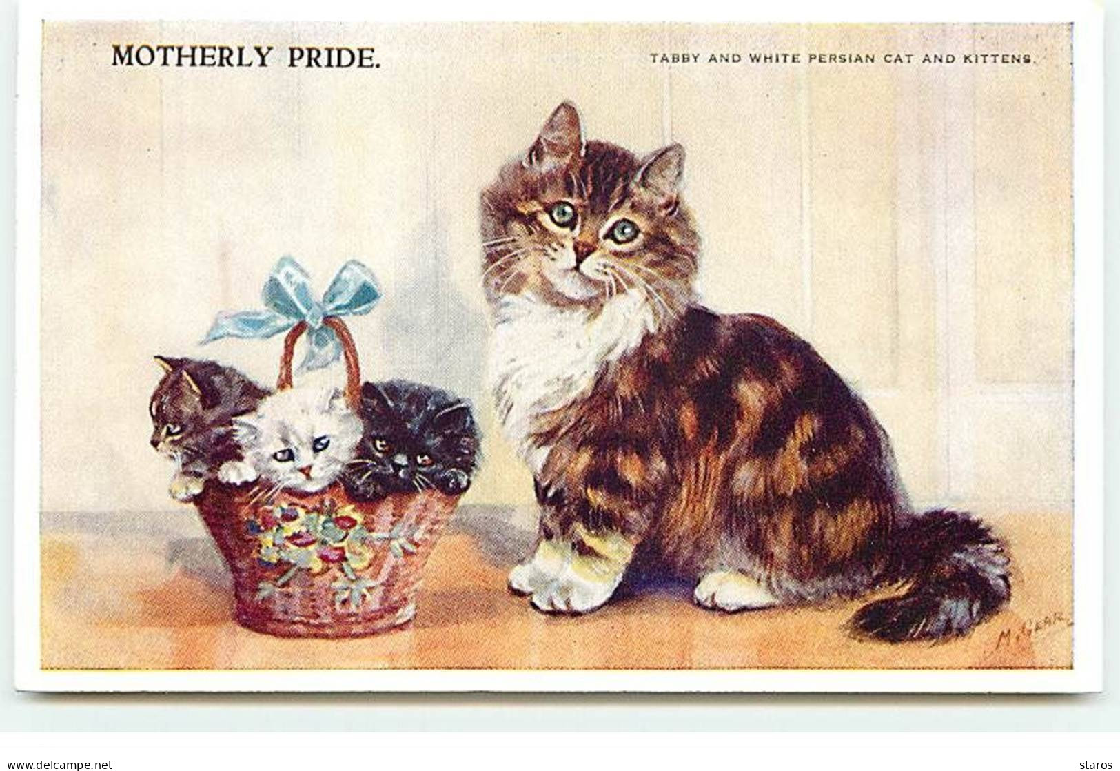 Animaux - Chat - M. Gear - Motherly Pride - Tabby And White Persian Cat And Kittens - Chats