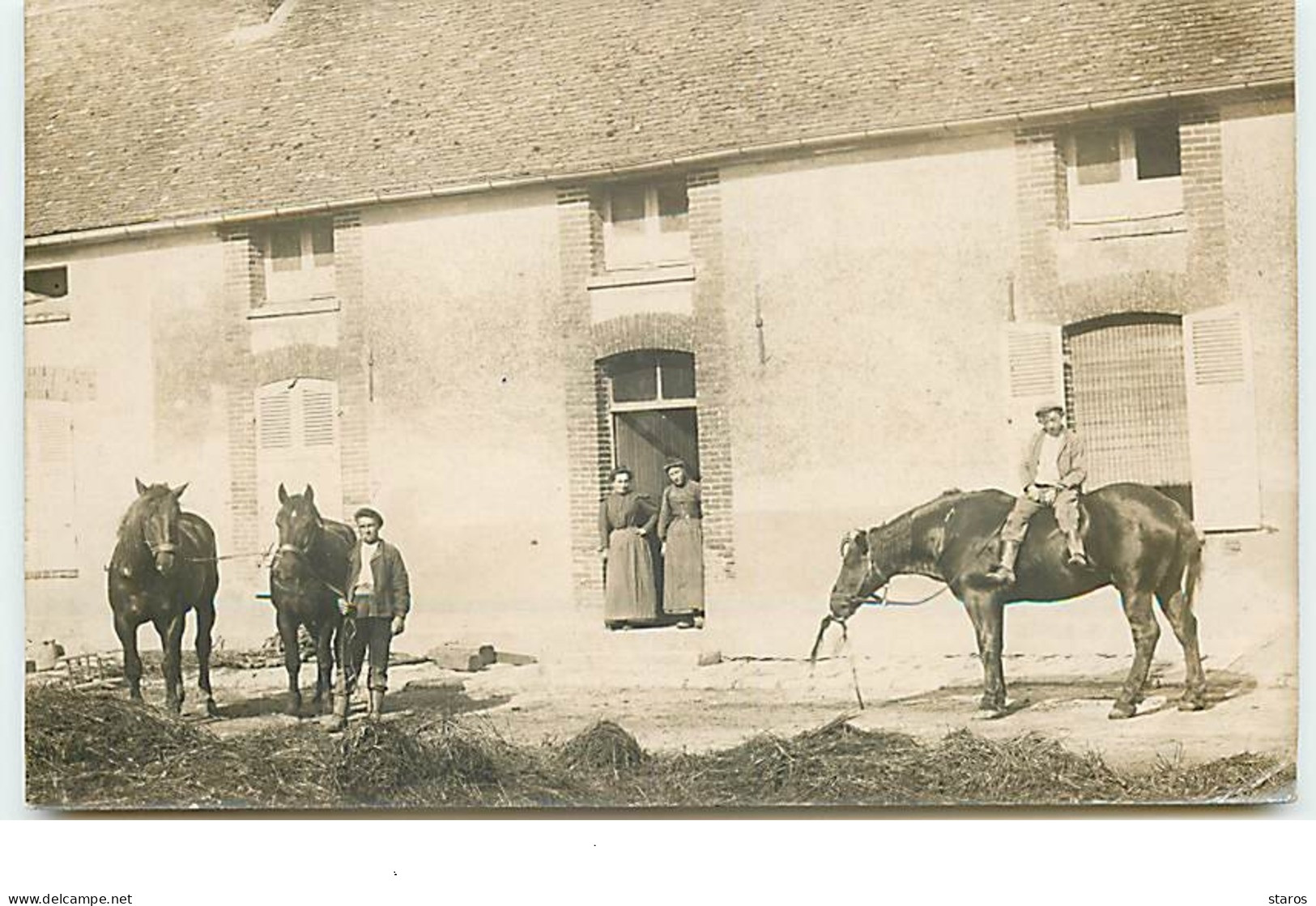 Carte-Photo à Identifier - Intérieur De Ferme - Chevaux - Fattorie