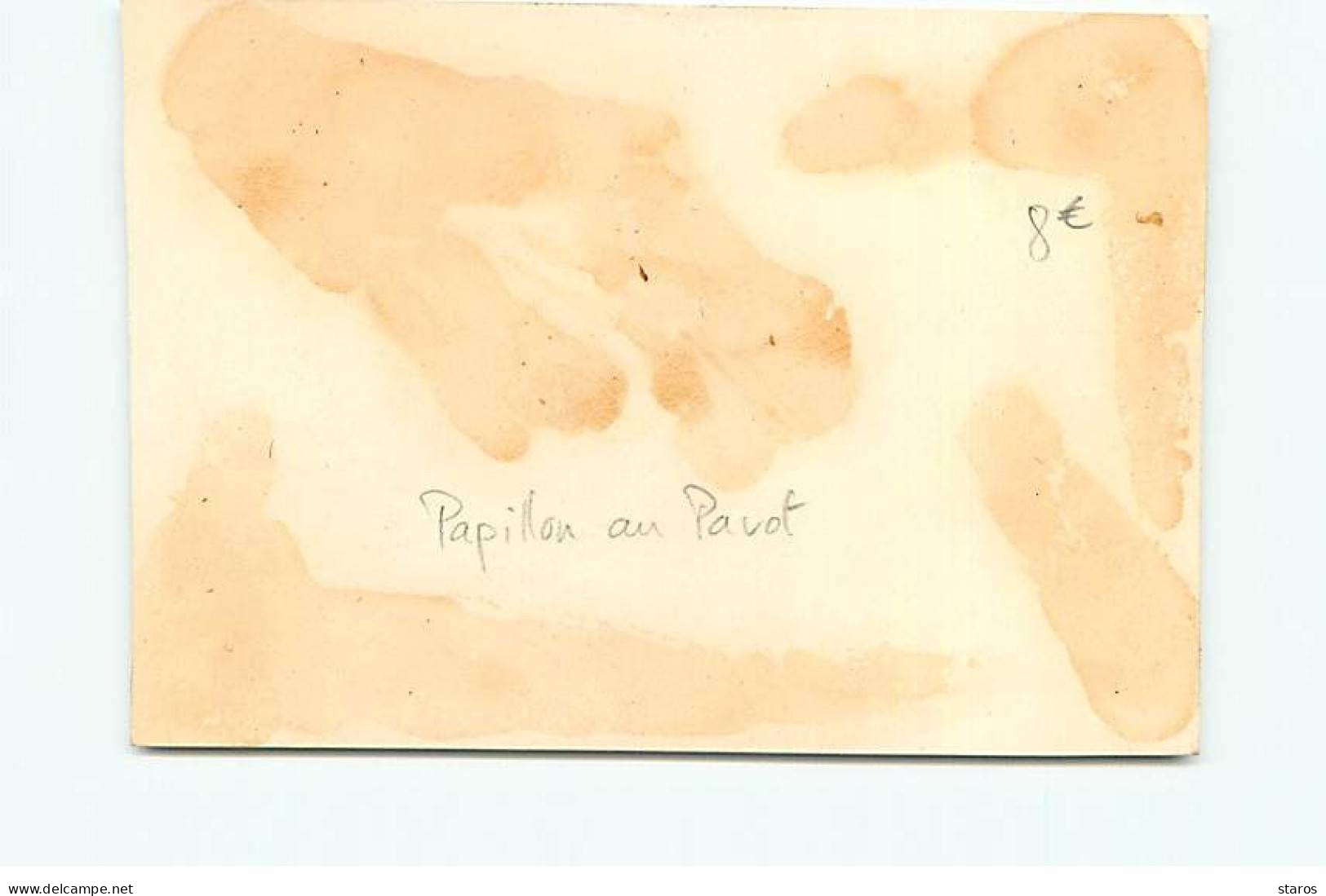 Chromos - Papillon Au Pavot - Format 8*11,6 Cm - Sonstige & Ohne Zuordnung
