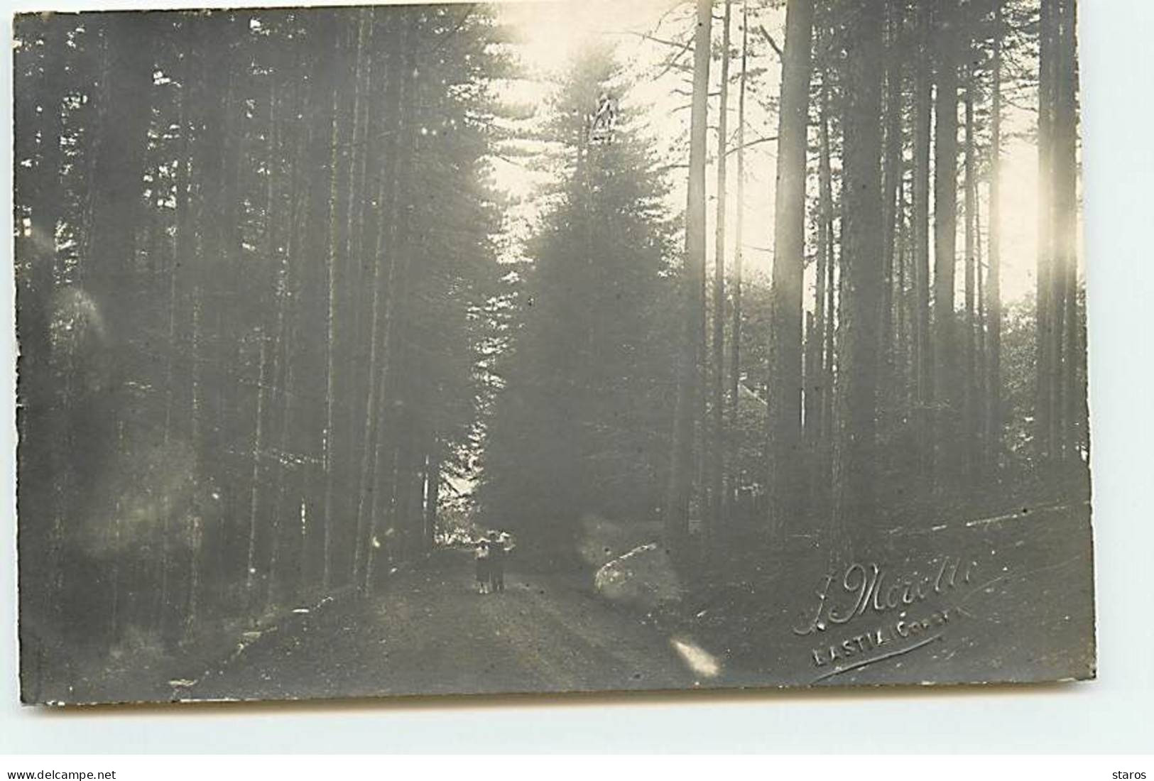 Carte Photo - VIVARIO - VIZZAVONA - Couple Se Promenant Dans Une Forêt - Photo Moretti Bastia - Other & Unclassified