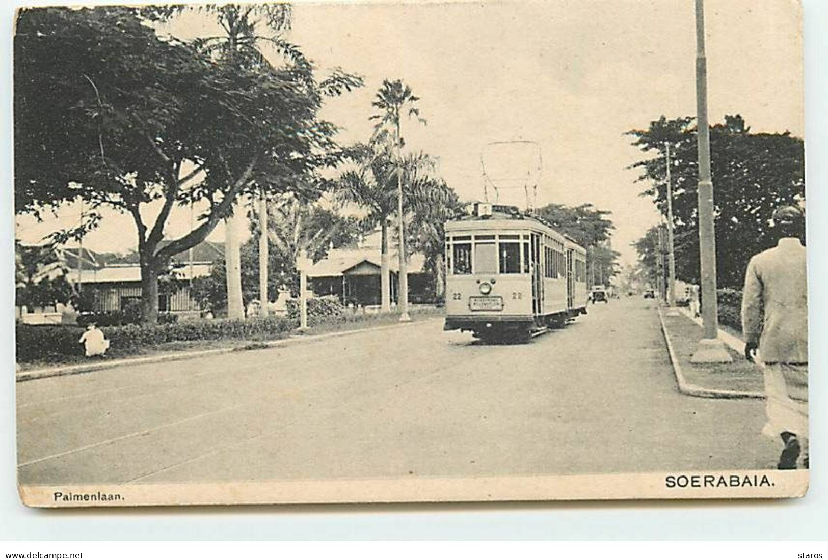 Indonésie - SOERABAIA - Palmenlaar - Tramway - Indonesië