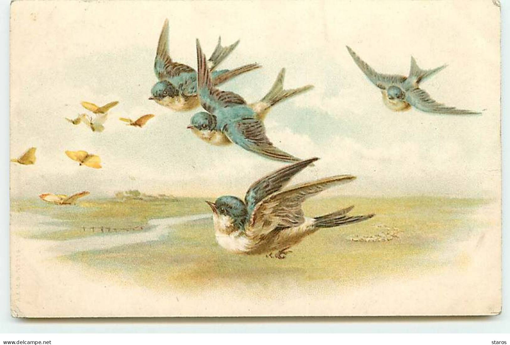 Animaux - Moineaux  Volant - Papillons - Oiseaux