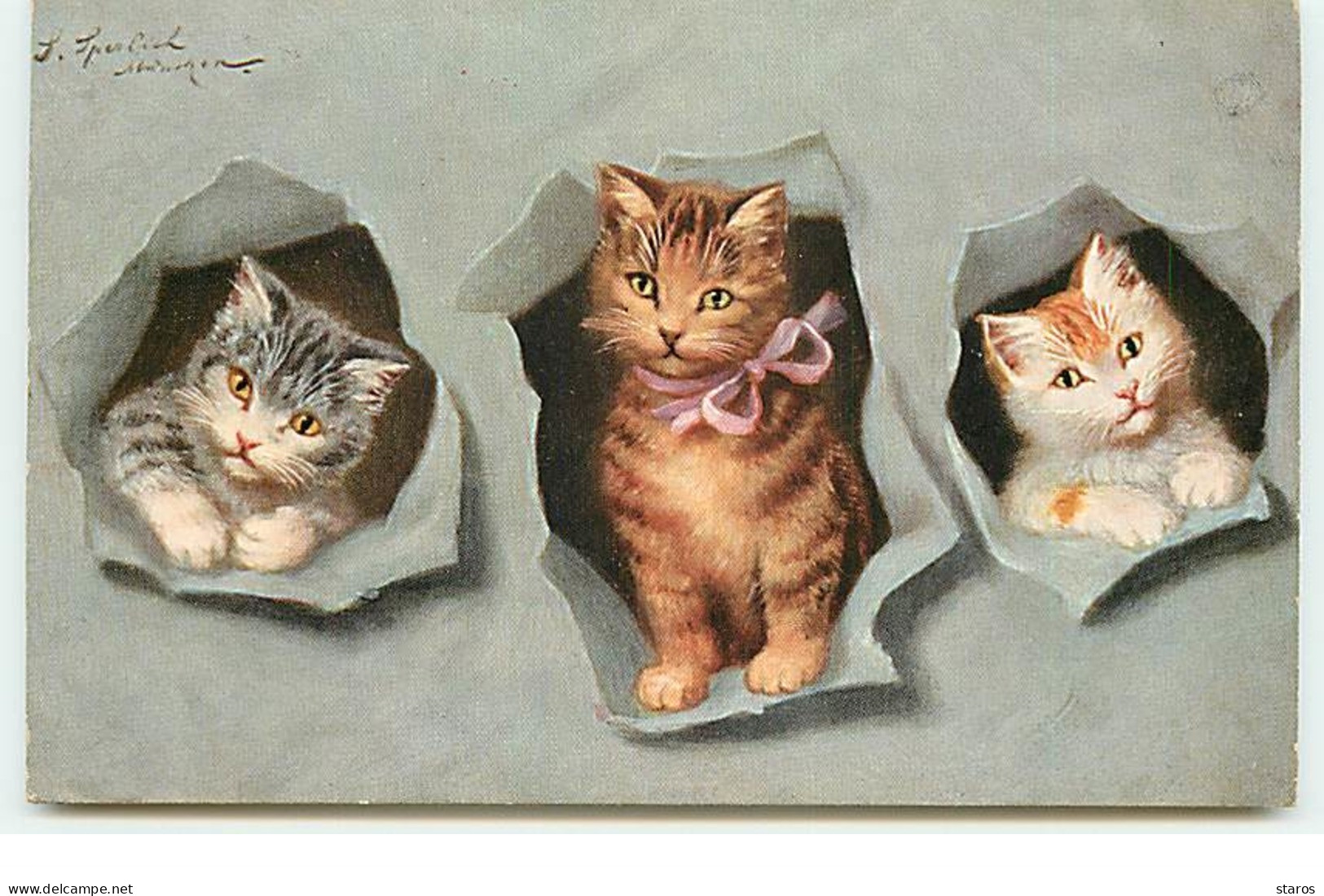 Chats Sortant D'un Mur En Papier Gris - Chats