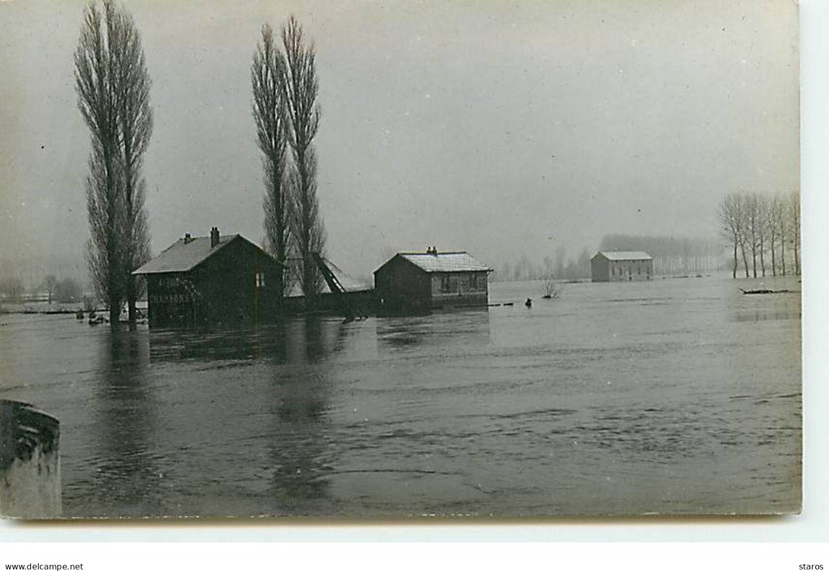 Carte Photo - ESBLY - A.F. Viguié Charbons - Inondations 1910 - Esbly