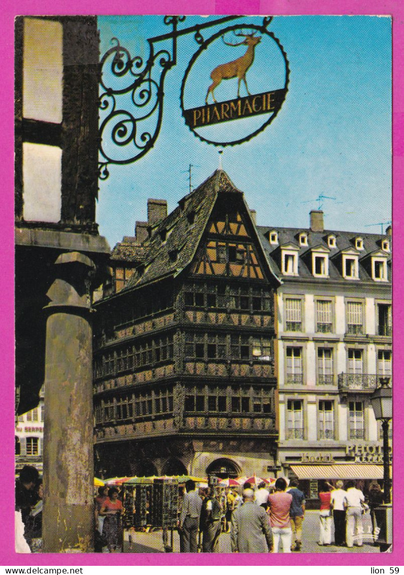 294230 / France - STRASBOURG La Maison Kammerzell Pharmacie DEER Animals PC 1985 USED 2.20 Fr. Liberty Of Gandon - 1982-1990 Liberty Of Gandon