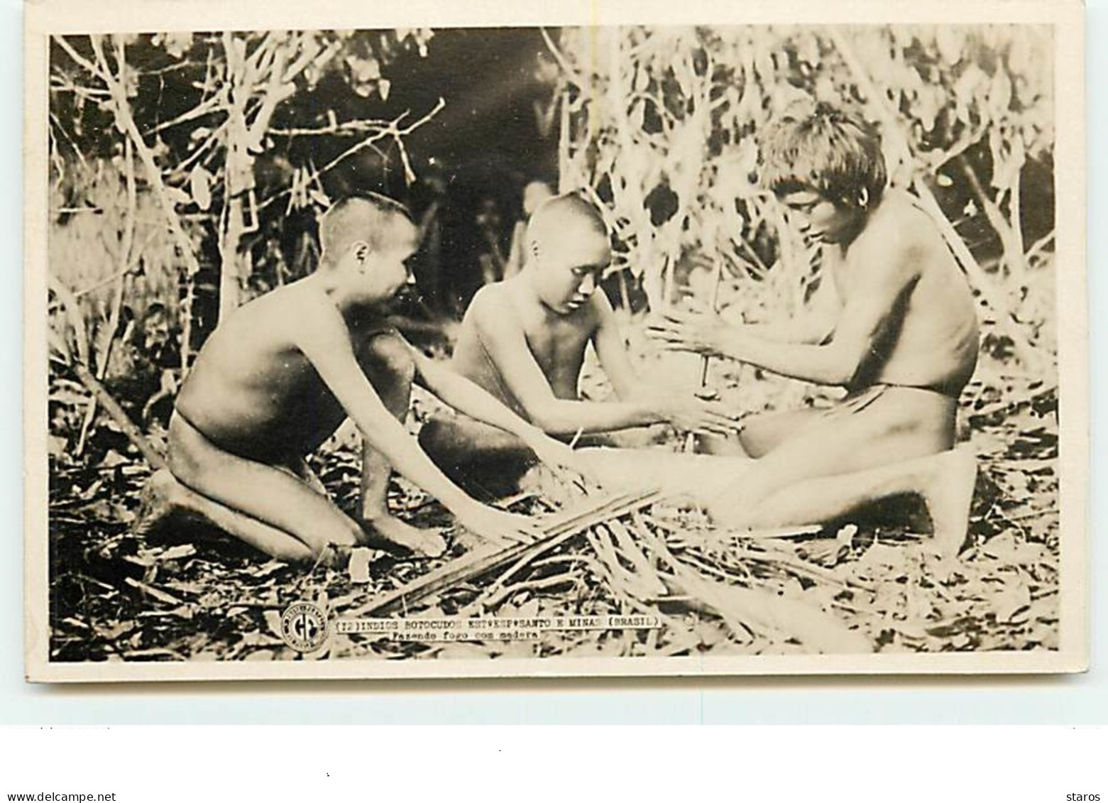 BRESIL - RPPC - Indios Botocudos - Fazendo Fogo Com Madera - Brasilia