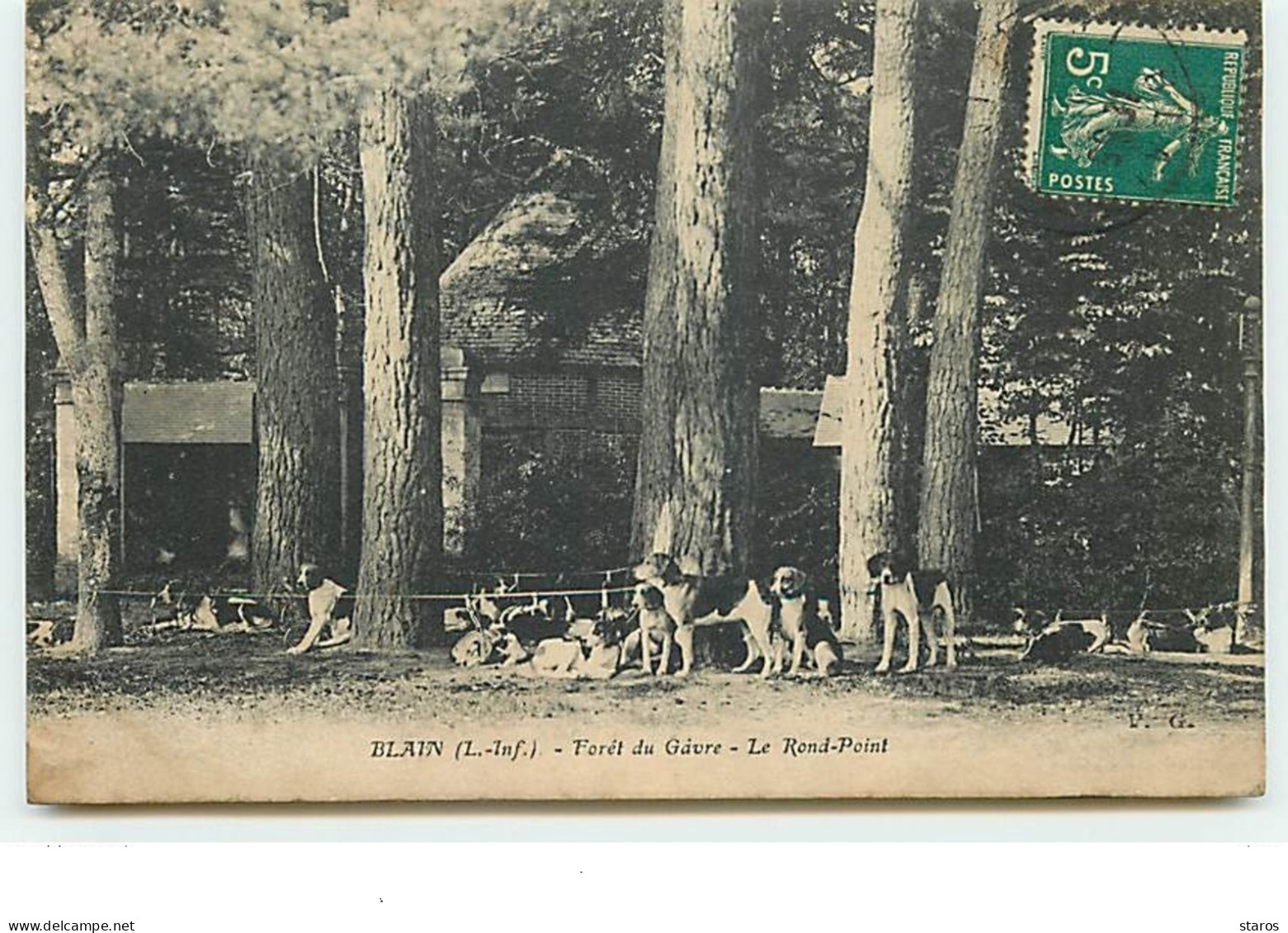 BLAIN - Forêt Du Gâvre - Le Rond-Point - Meute De Chiens - Blain