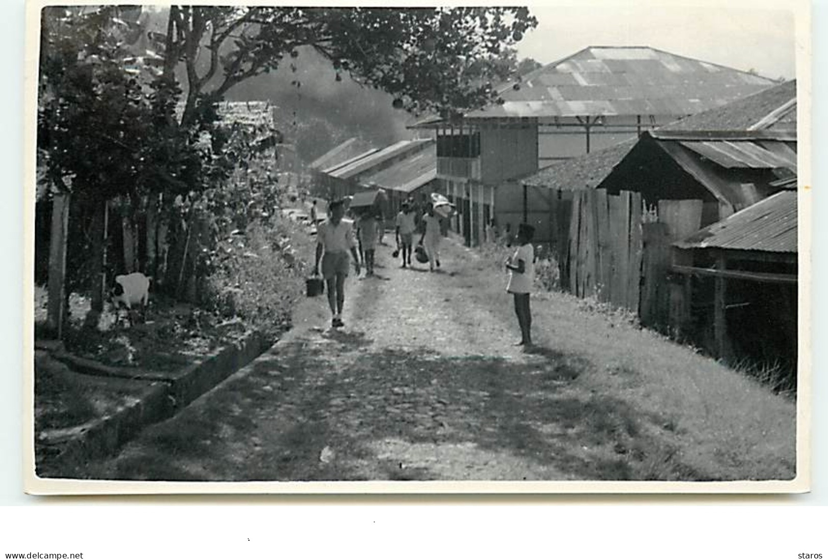 PAPOUASIE - Hommes Dans Une Rue D'un Village - Copyright J.H. Zindler - Papua New Guinea