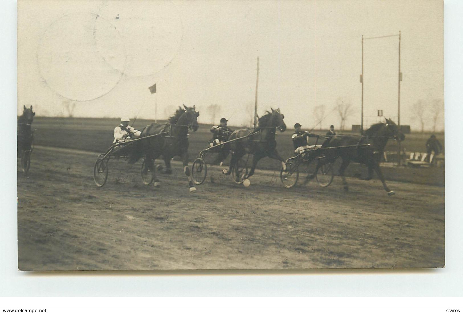 Carte Photo - Hippisme - Course De Trot - Chevaux - Reitsport