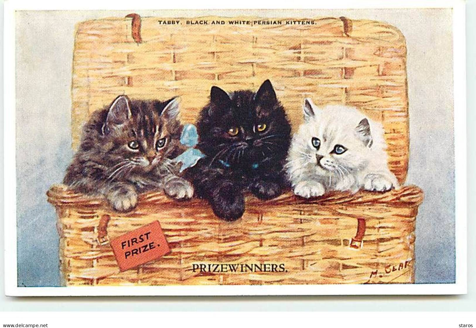 Animaux - Chat - M. Gear - Prizewinners - Tabby, Black And White Persian Kittens - Chats