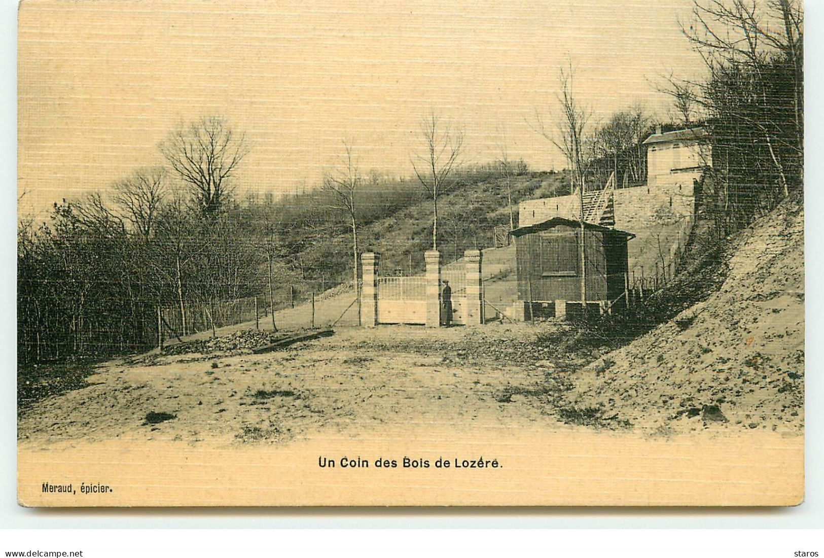 PALAISEAU - Un Coin Des Bois De Lozère - Palaiseau