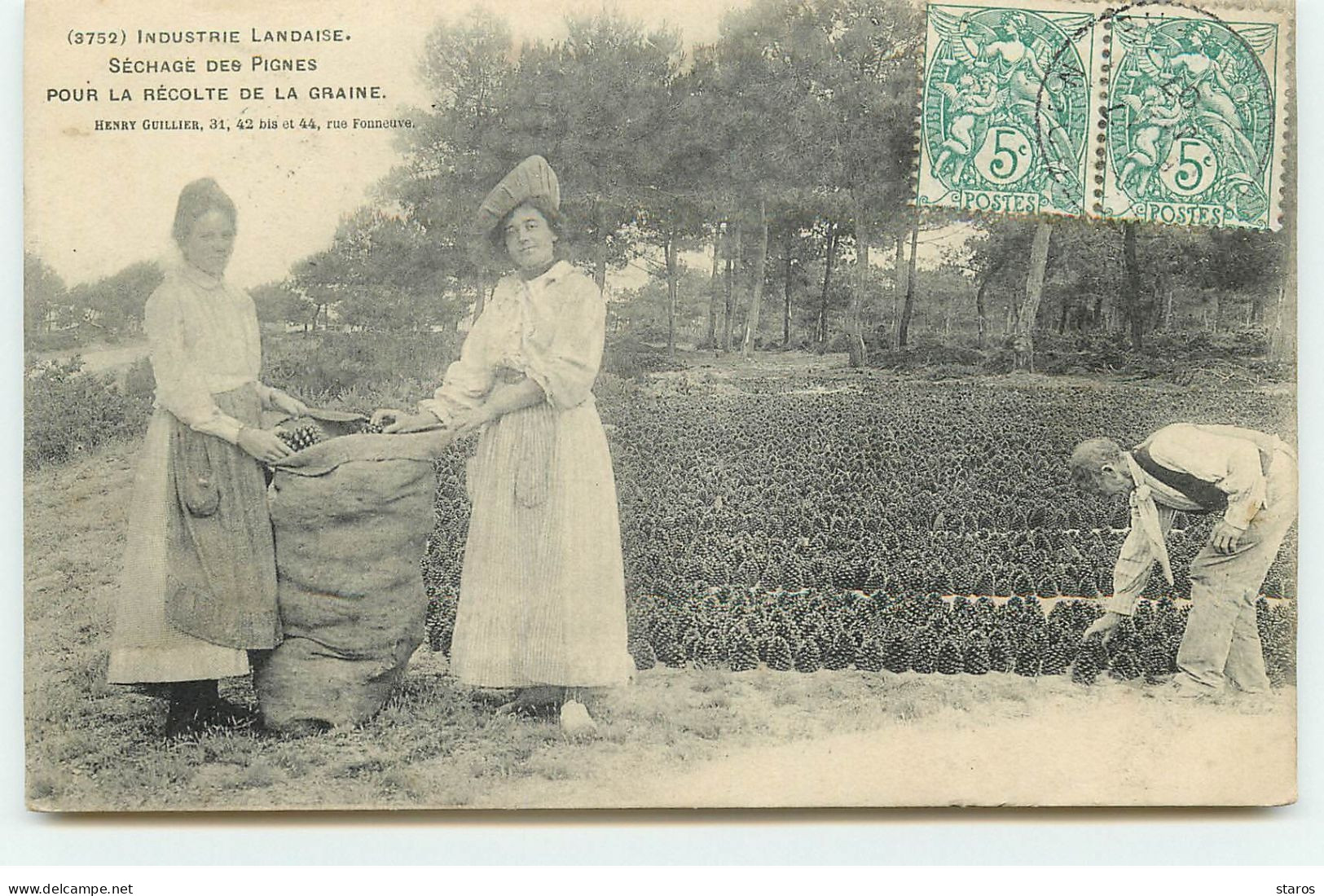 Industrie Landaise - Séchage Des Pignes Pour La Récolte De La Graine - Henry Guillier, FOURNEUVE - Autres & Non Classés