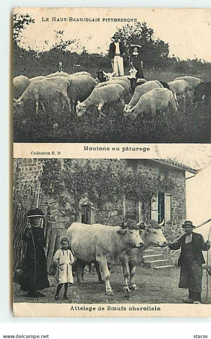 Agriculture - Le Haut-Beaujolais Pittoresque - Moutons Au Pâturage - Attelage De Boeufs Charollais - Veeteelt