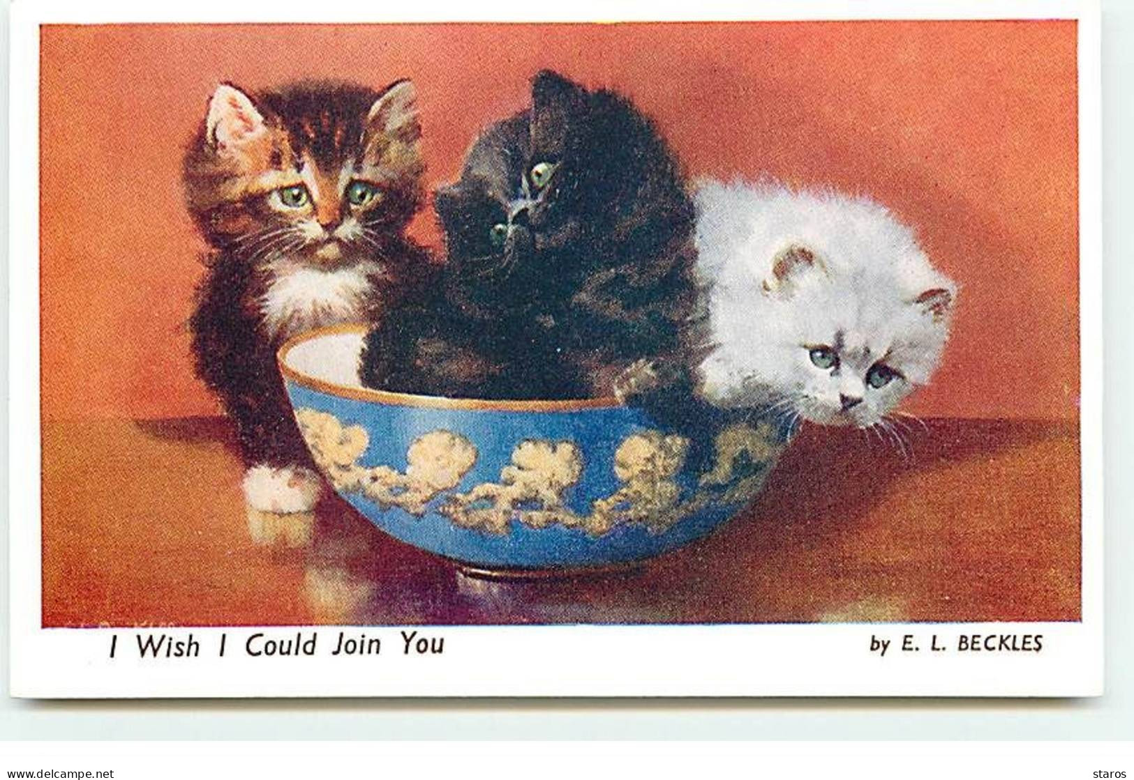 Animaux - Chat - E.L. Beckles - I Wish I Could Join You - Châtons Dans Un Bol - Chats