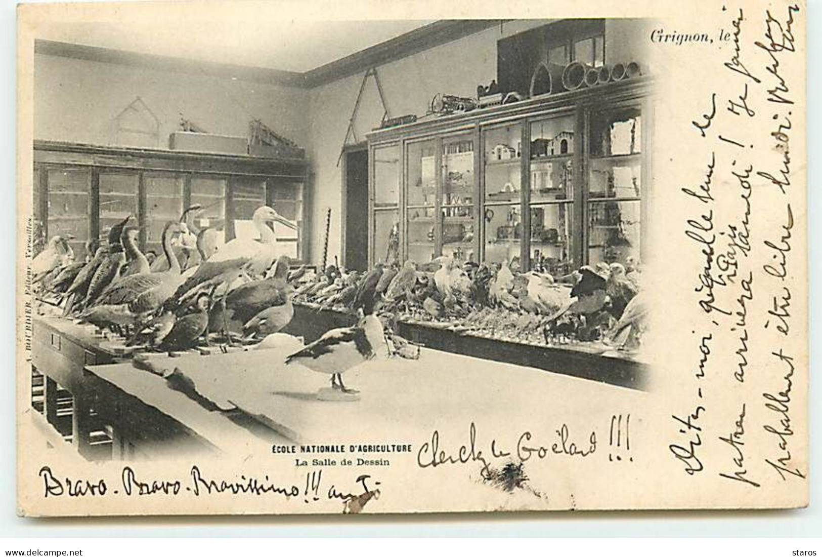 GRIGNON - Ecole Nationale D'Agriculture -  La Salle De Dessin - Oiseaux - Grignon