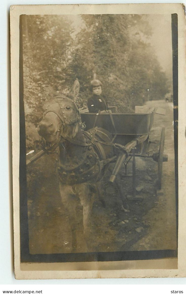 Carte Photo à Localiser - Un Enfant Dans Une Charette - A Identifier