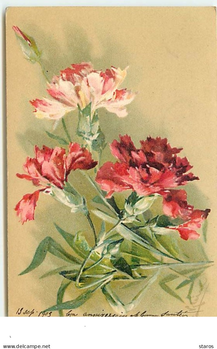 C. Klein - Oeillets Roses Et Rouges - Klein, Catharina