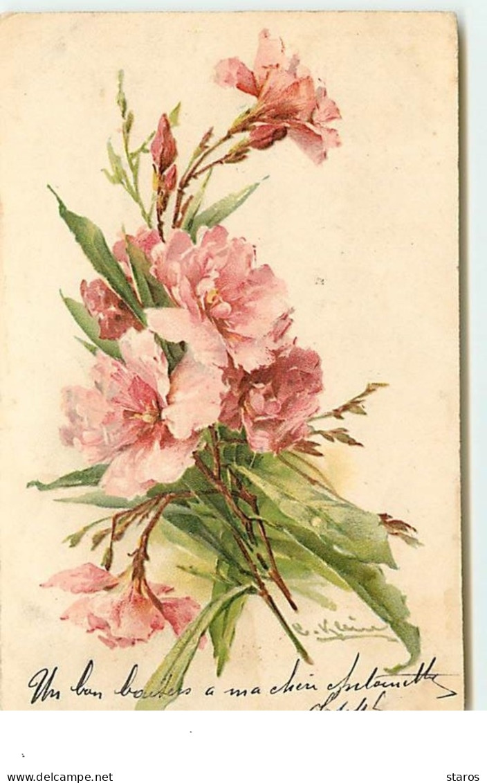 C. Klein - Oeillets Roses - Klein, Catharina
