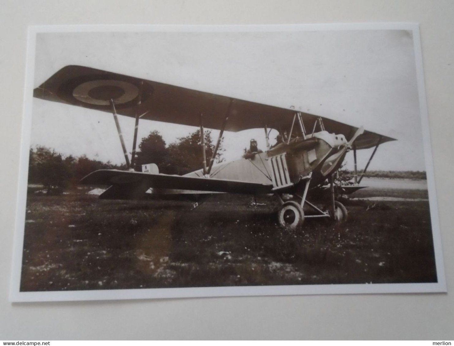 D203269    Aviation - Avions - Avion -  Military Aircraft  -Postcard Sized  Modern Printed Photo  15 X10 - 1914-1918: 1ère Guerre