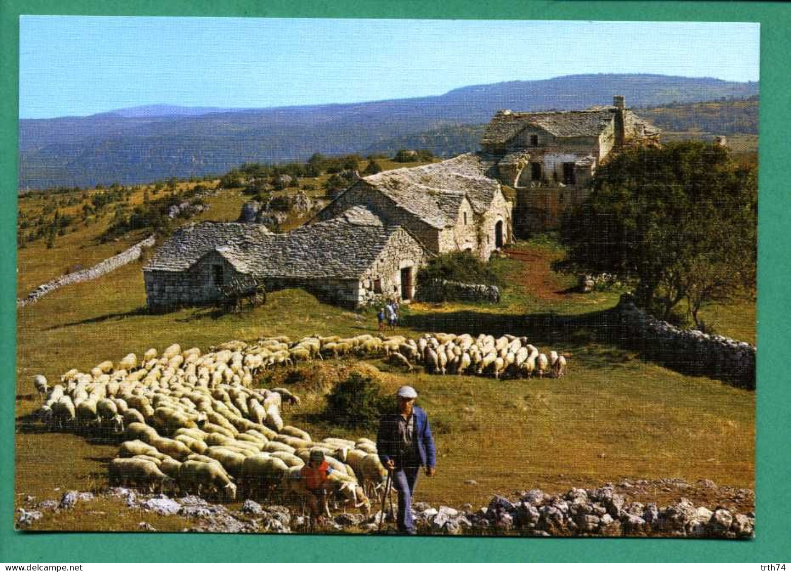 Départ Pour Le Pâturage ( Berger Avec Ses Moutons ( Ferme Aux Toits De Lauze ) Éditions BOS Saint Céré - Autres & Non Classés