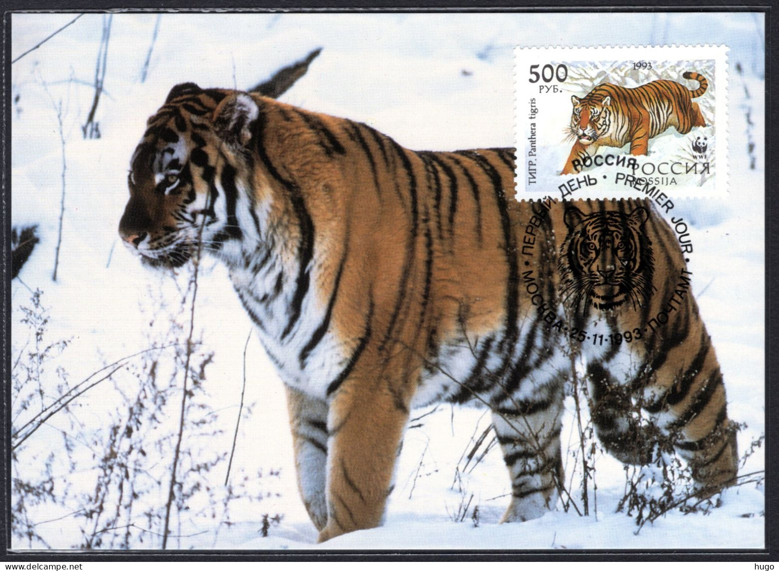 RUSLAND Yt. 6032 FDC WWF 1993 - FDC