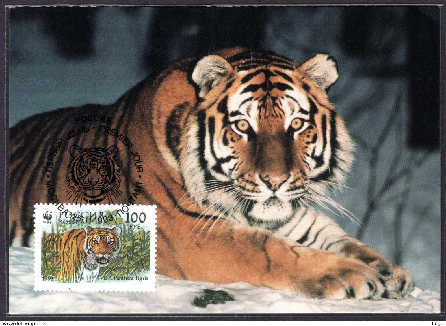 RUSLAND Yt. 6030 FDC WWF 1993 - FDC