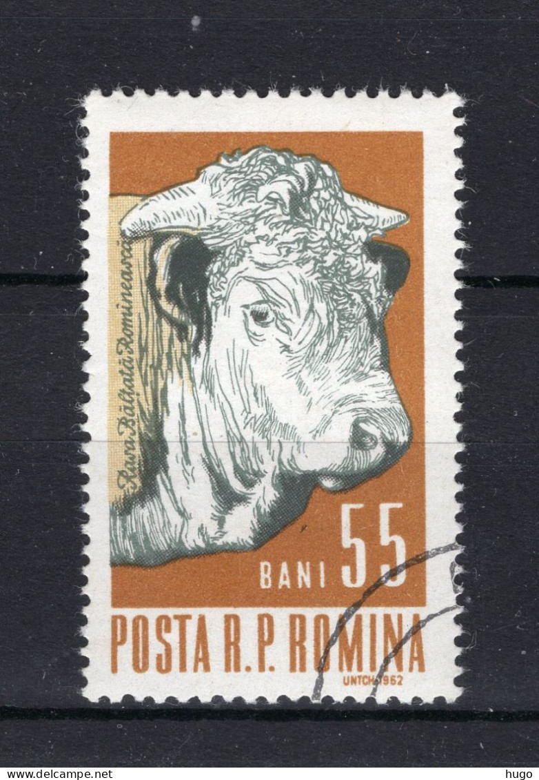 ROEMENIE Yt. 1891° Gestempeld 1962 - Used Stamps