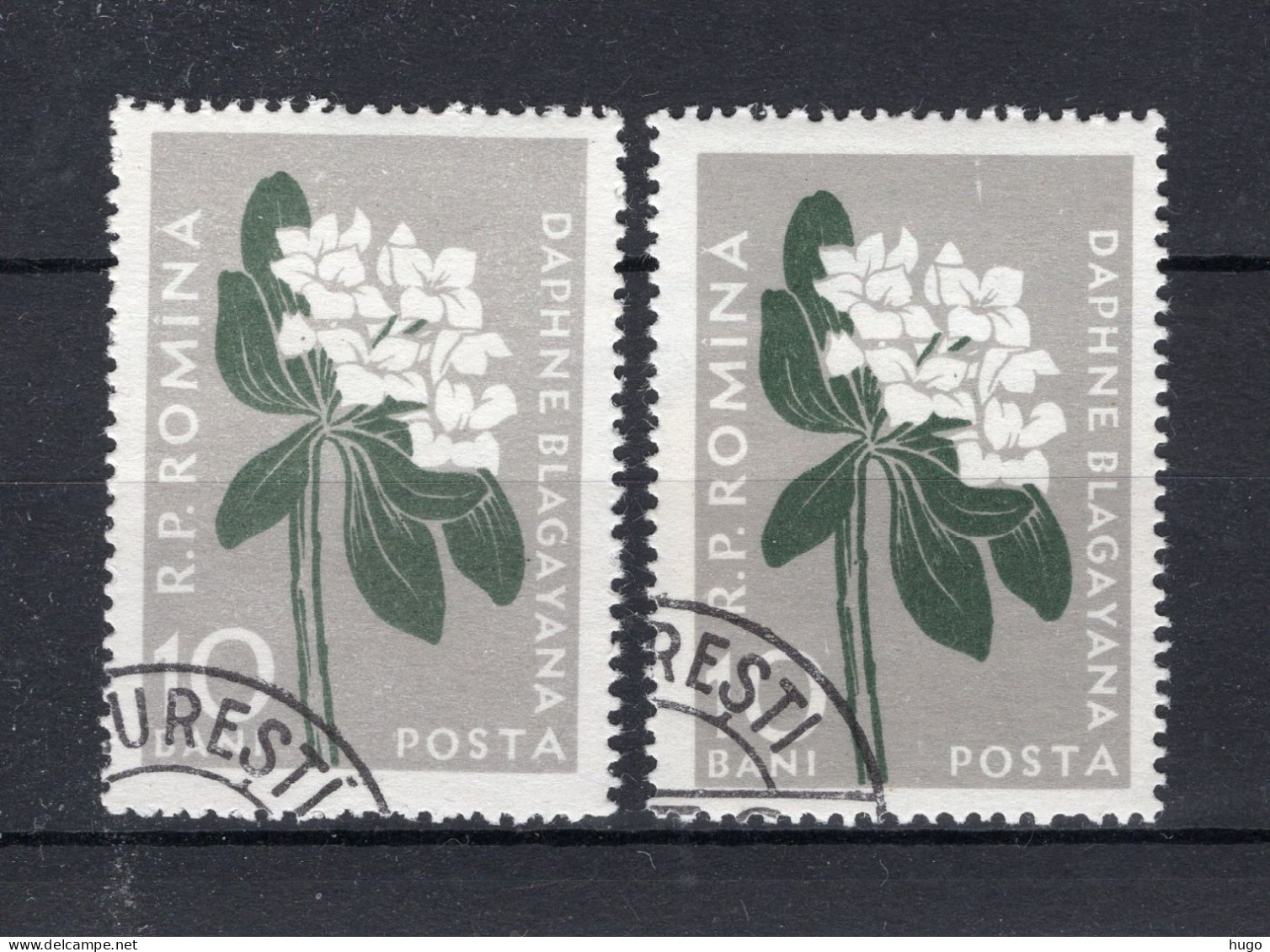 ROEMENIE Yt. 1518° Gestempeld 1957 - Used Stamps