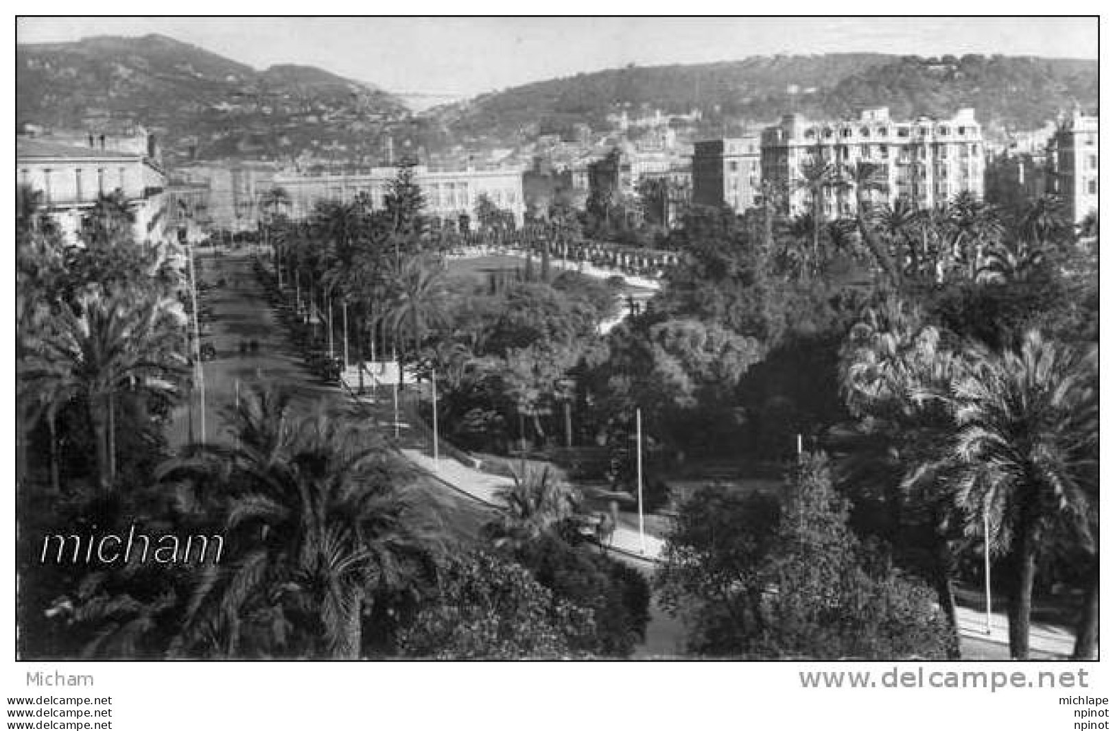 CPSM  06   NICE  VUE DES JARDINS   TB ETAT - Parks