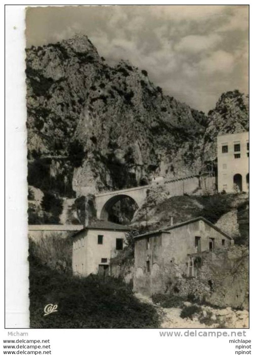 CPM  06  MENTON  LE PONT ST LOUIS PARFAIT ETAT - Menton