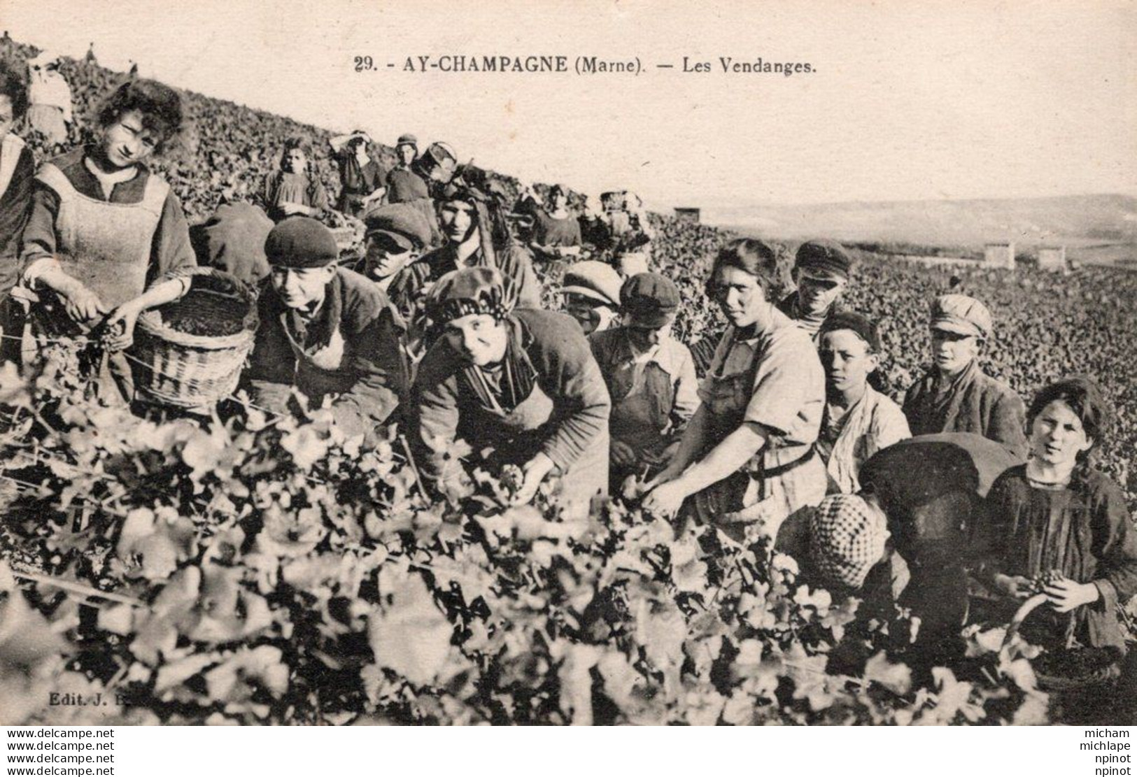CPA - 51 - AY -  Les Vendanges - Ay En Champagne