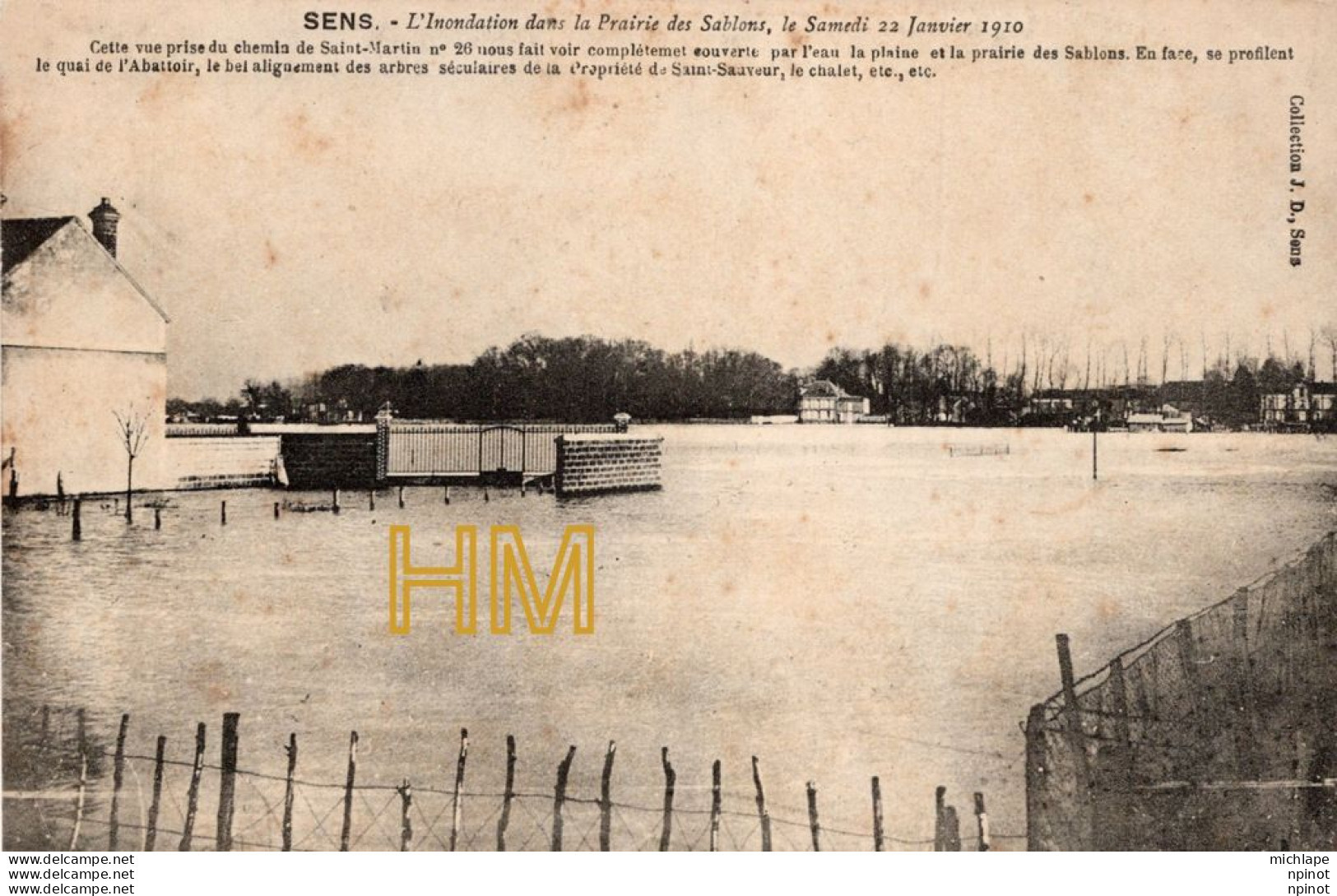 C P A  89 -  SENS  -     INONDATION -  Dans La Prairie Des Sablons - Sens