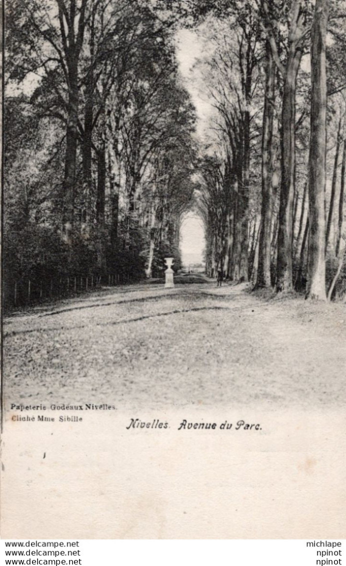 C P A - BELGIQUE  - NIVELLES  - BRABANT  WALLON   - Avenue  Du Parc - Nivelles