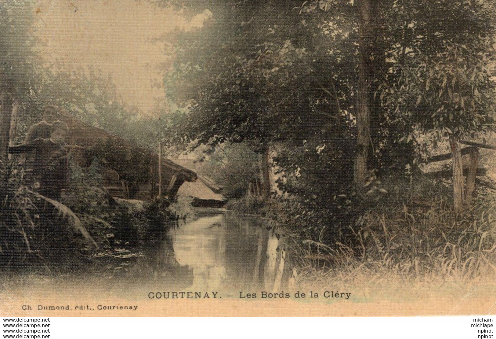 C P A - 45 - COURTENAY - Les Bords De La  Cléry - Courtenay