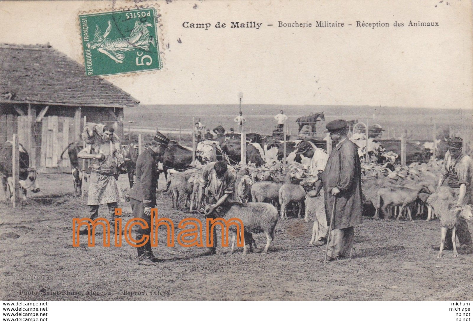 CPA 10   MAILLY LE CAMP  Boucherie  Militaire  Réception Des  Animaux - Mailly-le-Camp