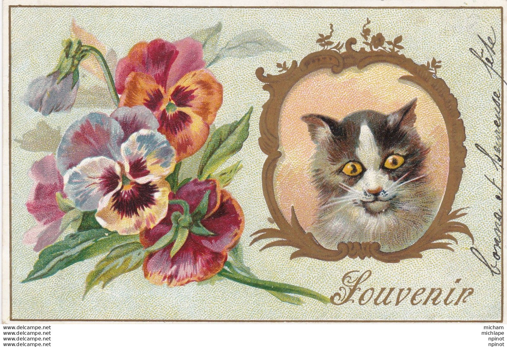 Souvenir  Chaton  Et Pensées - Chats