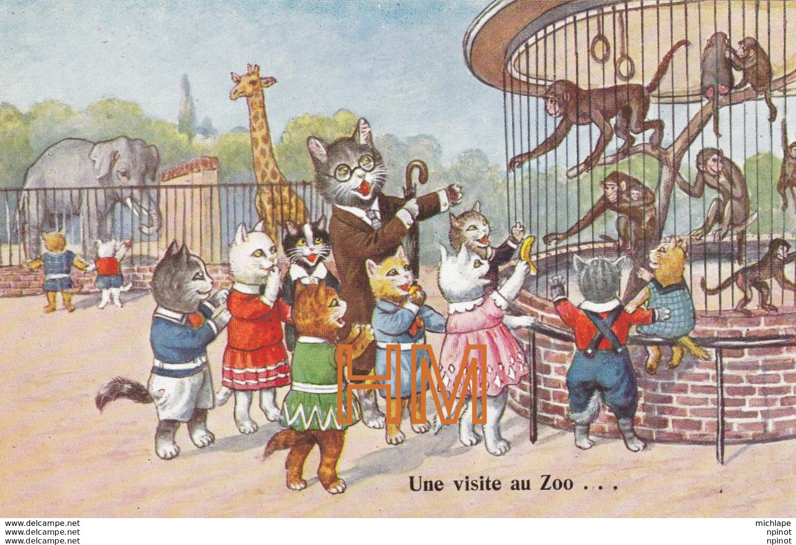 Une  Visite  Au Zoo - Chats