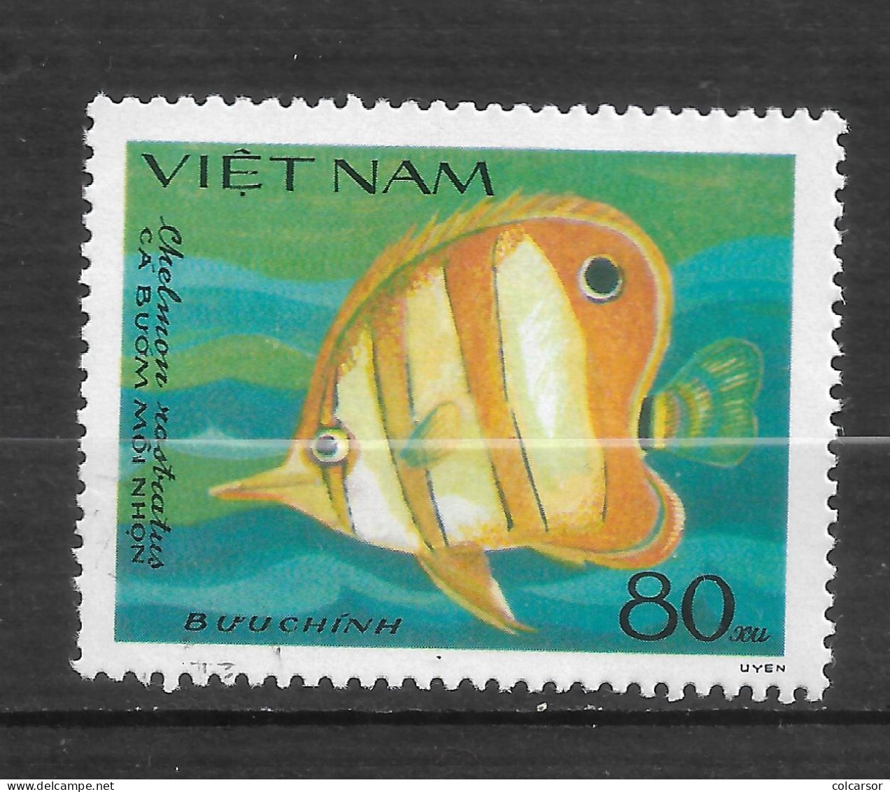 VIÊT-NAM  " N°  505D  "POISSON " - Viêt-Nam