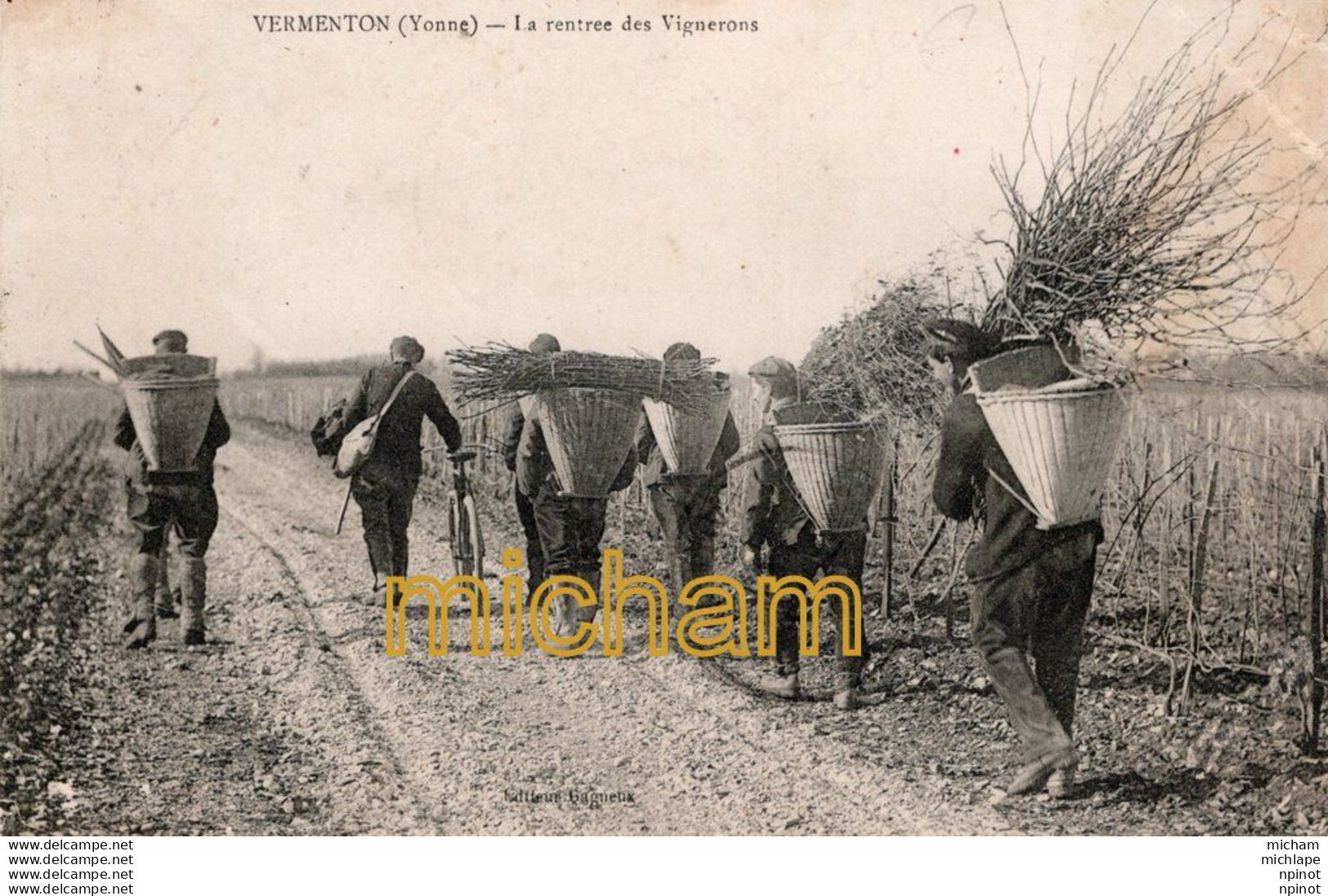 C P A  89  VERMENTON -  La Rentrée Des Vignerons - Vermenton