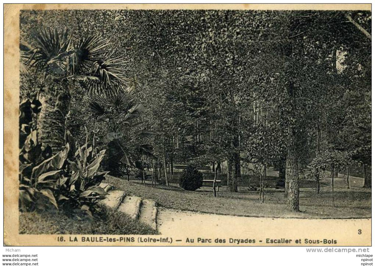 CPA 44 LA BAULE   AU PARC DES  DRYADES  ESCALIER ET SOUS BOIS - La Baule-Escoublac