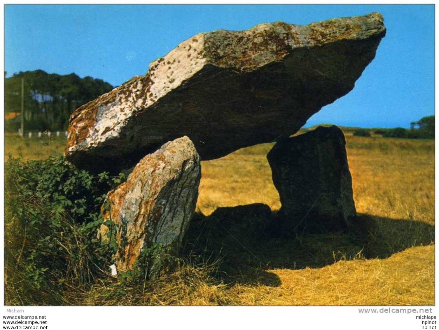 CPM 85 BRETIGNOLLES  LE DOLMEN         PARFAIT ETAT - Bretignolles Sur Mer