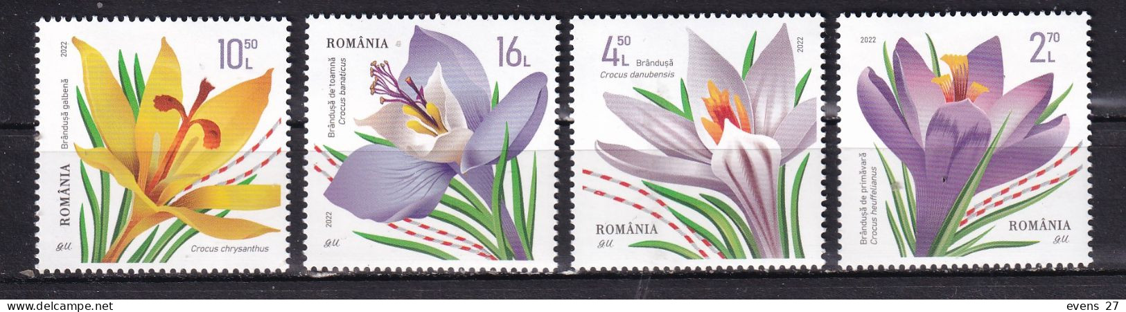 ROMANIA-2022-FLOWERS -CROCUS-MNH. - Other & Unclassified