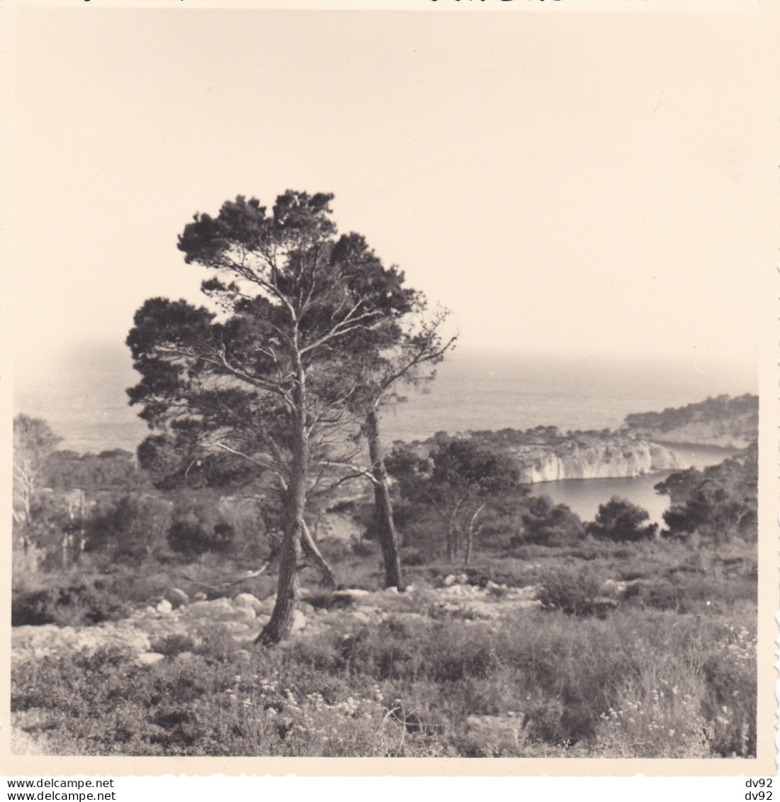 BOUCHES DU RHONE CALANQUE DE PORT MIOU 1961 - Places