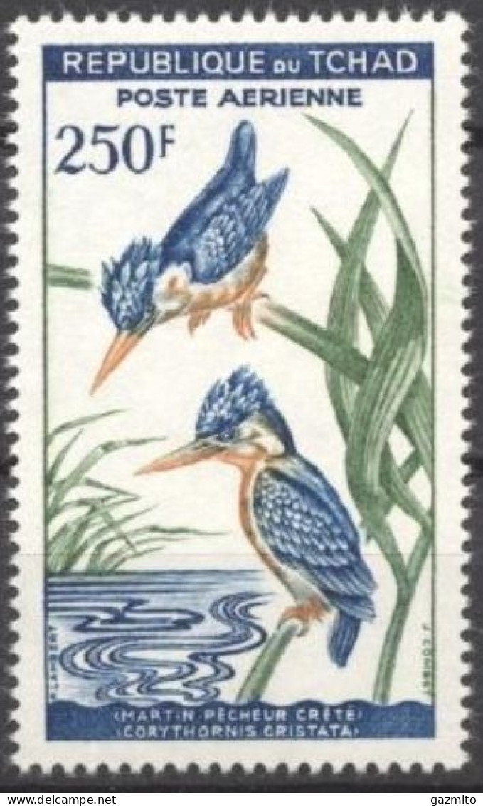 Tchad 1963, Bird, Kingfisher, 1val - Songbirds & Tree Dwellers