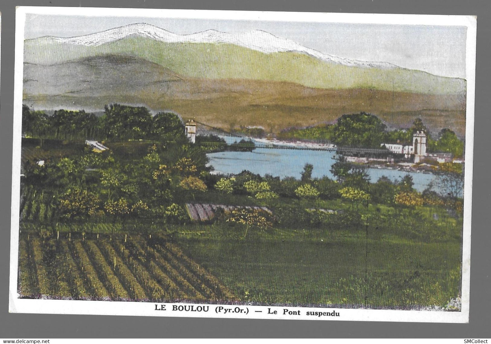 Le Boulou, Le Pont Suspendu (A17p68) - Other & Unclassified