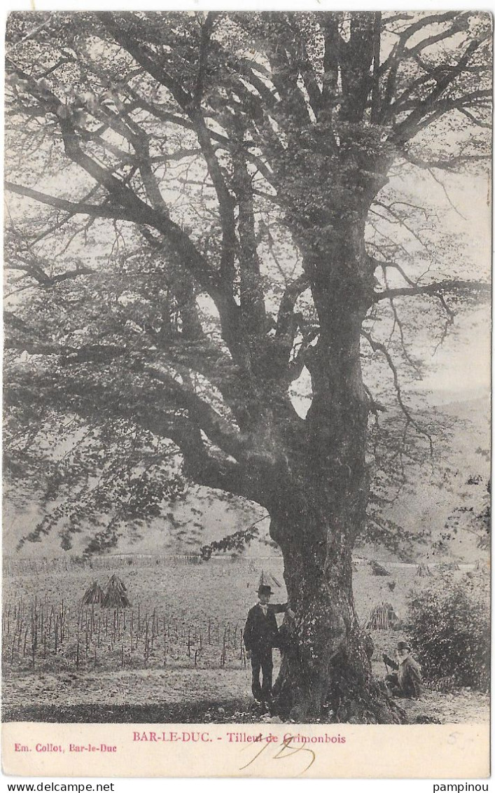 55 BAR LE DUC - Tilleul De Grimonbois - Animée - Arbre - Bar Le Duc